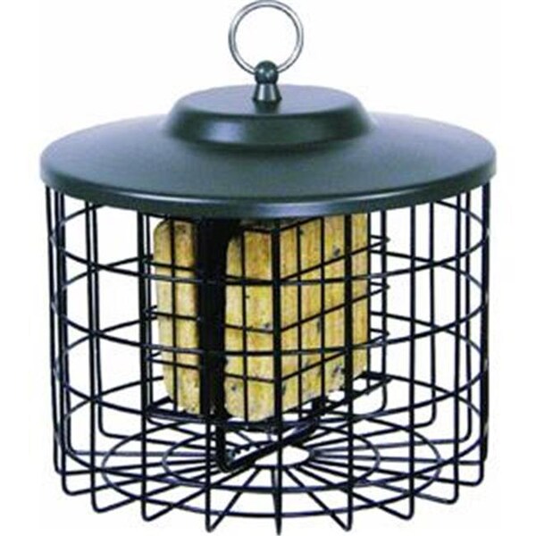 Hiatt Manufacturing Hiatt Manufacturing HIATT38069 Squirrel Proof Double Suet Feeder - HIATT38069