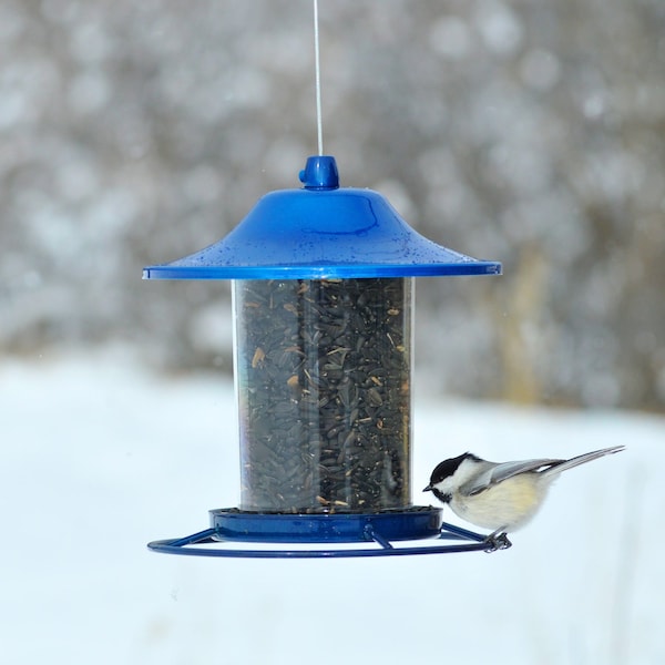 Perky-Pet Perky-Pet Wild Bird 2 lb Metal/Plastic Panorama Bird Feeder 1 ports - 312B