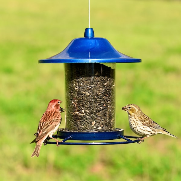 Perky-Pet Perky-Pet Wild Bird 2 lb Metal/Plastic Panorama Bird Feeder 1 ports - 312B