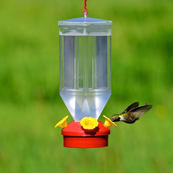 Perky-Pet Perky-Pet Hummingbird 18 oz Plastic Lantern Nectar Feeder 4 ports - 201