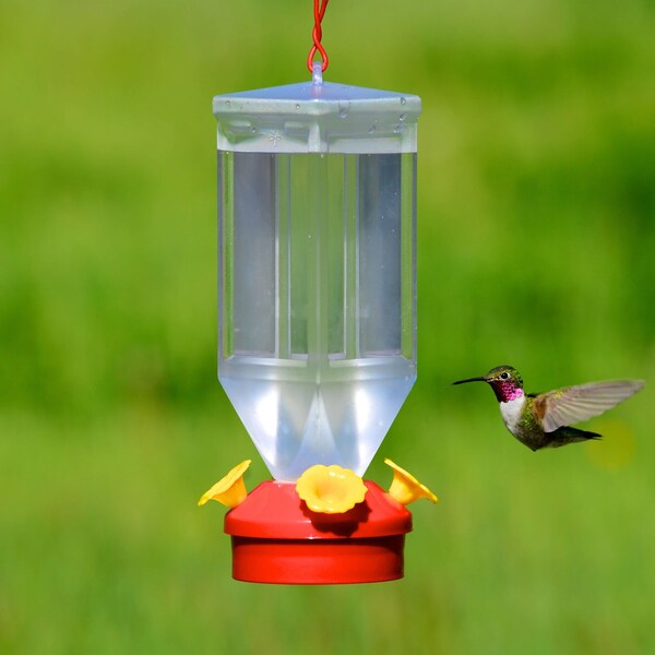 Perky-Pet Perky-Pet Hummingbird 18 oz Plastic Lantern Nectar Feeder 4 ports - 201