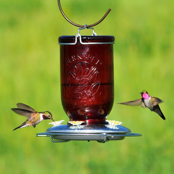Perky-Pet Perky-Pet Hummingbird 32 oz Glass/Metal Mason Jar Nectar Feeder 5 ports - 786