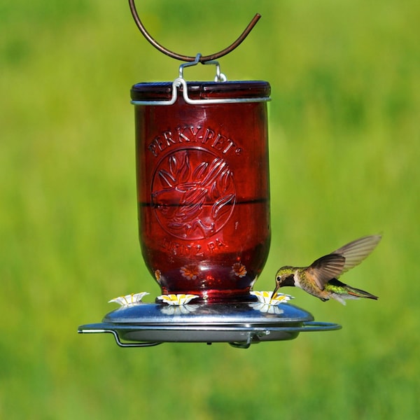 Perky-Pet Perky-Pet Hummingbird 32 oz Glass/Metal Mason Jar Nectar Feeder 5 ports - 786