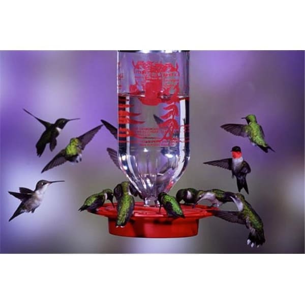 Best-1 Best-1 BEST32 32 oz Original Hummingbird Feeder - BEST32