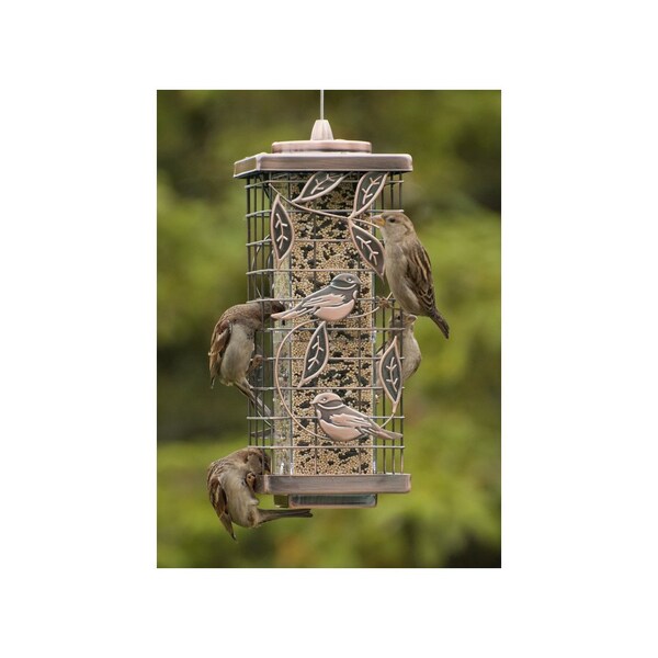 Audubon Bird Feeder 1.75 lb Metal Tube 2 ports Clear/Copper - NA35329