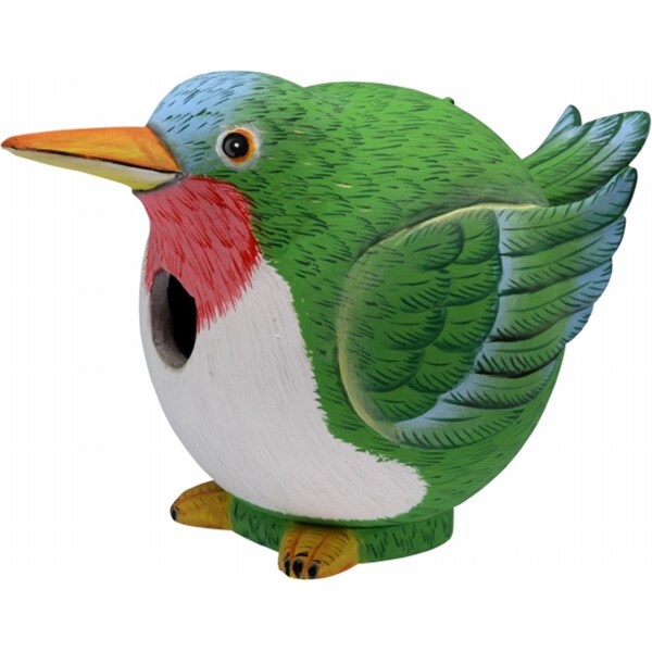Songbird Essentials Hummingbird Gord-O Birdhouse - SE3880080