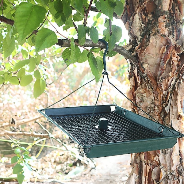 Zenport 2-in-1 Platform Bird Feeder, 6PK - Z203009
