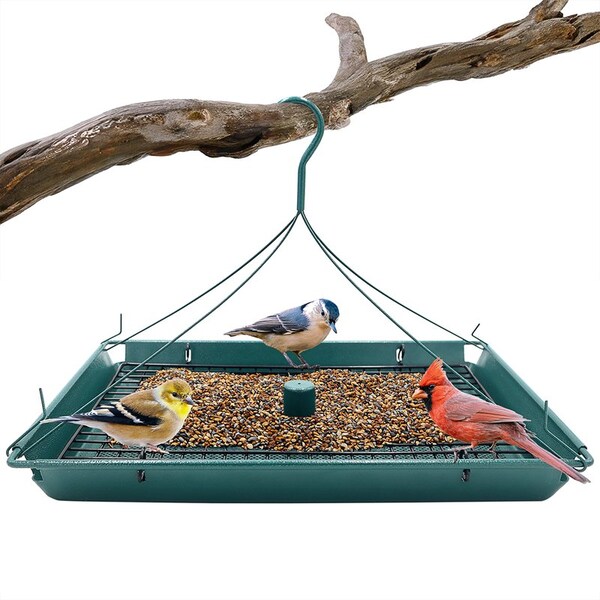 Zenport 2-in-1 Platform Bird Feeder, 6PK - Z203009