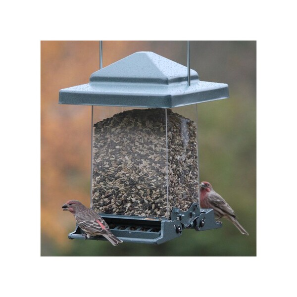 Audubon Bird Feeder 6 lb Acrylic/Metal Hopper Black - 75160