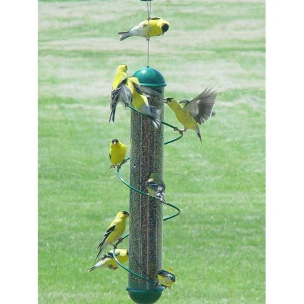 Songbird Essentials 17 Inch Green Spiral Finch Tube Feeder - SEBQSBF2G