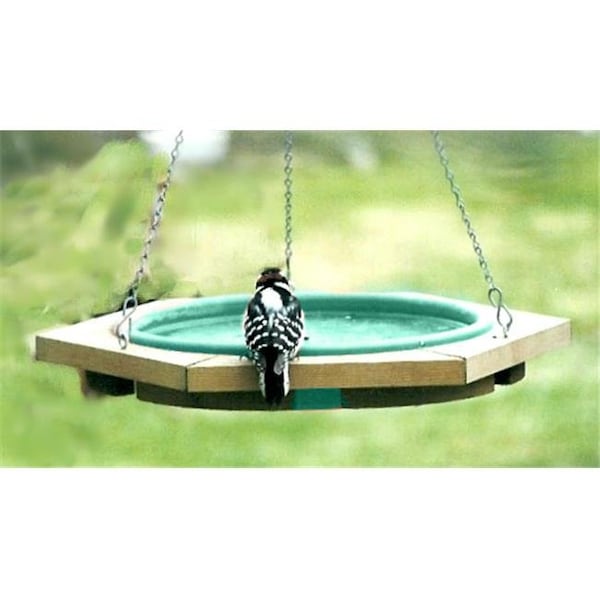 Songbird Essentials Songbird Essentials SE504 Mini Hanging Bird Bath Green - SE504