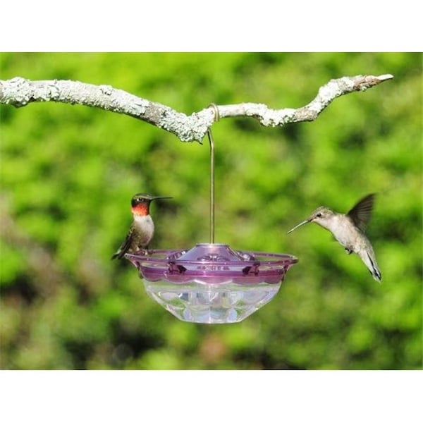 Aspects Aspects HummBlossom - 4 oz Feeder - Plum Color - ASPECTS434