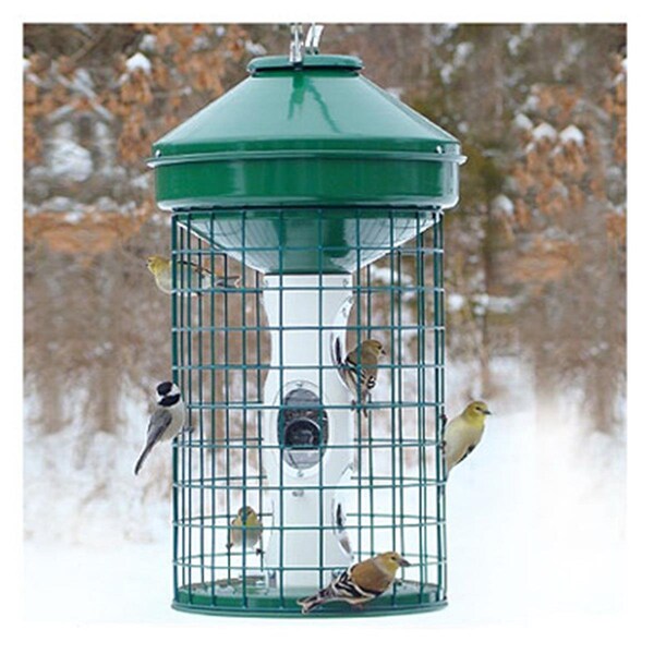 Fancy Feline NAAV1MNP Heavy Duty Caged Mixed Seed Bird Feeder - FA3257741