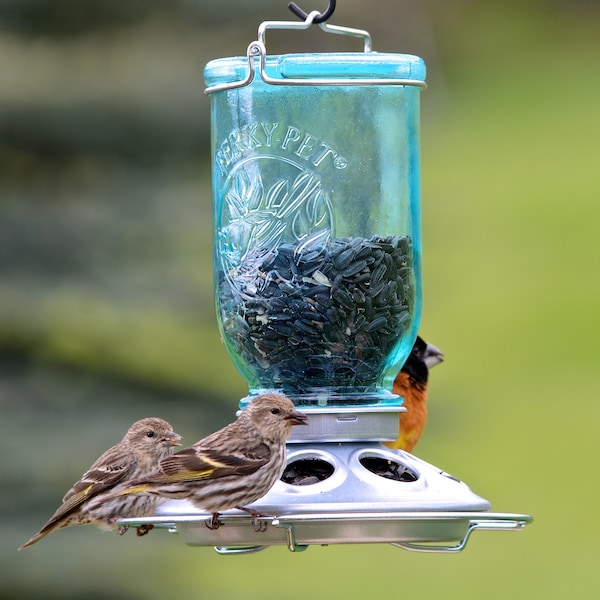 Perky-Pet Perky-Pet Wild Bird 1 lb Glass/Steel Mason Jar Bird Feeder 8 ports - 784