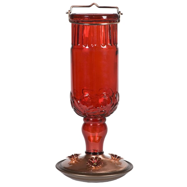Perky-Pet Perky-Pet Hummingbird 24 oz Copper/Glass Nectar Feeder 4 ports - 8119-2