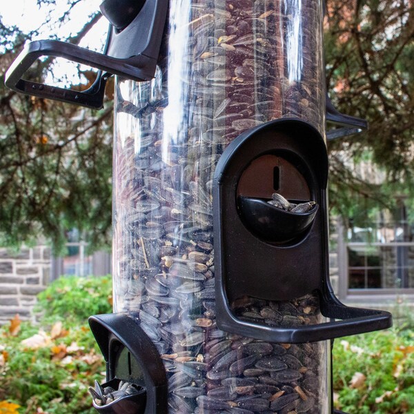 Perky-Pet Perky-Pet Goldfinch 4 lb Plastic 2-in-1 Tube Bird Feeder 6 ports - 3266
