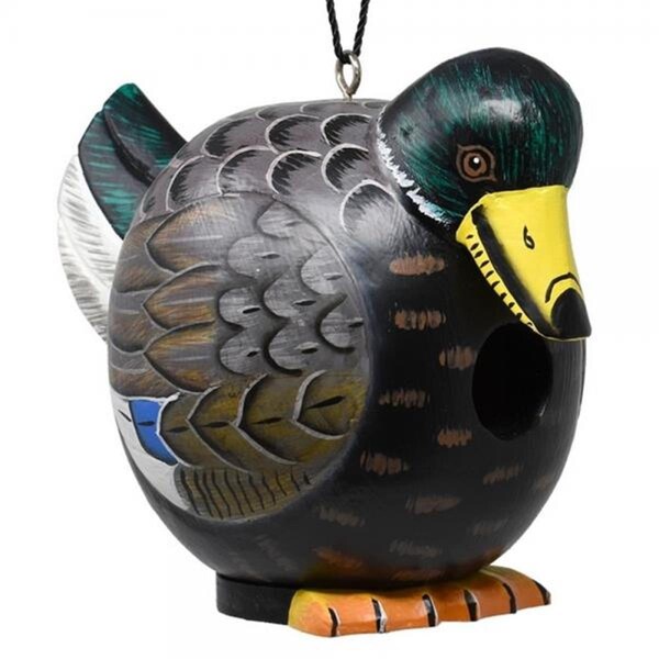 Bobbo Duck Mallard Gordo-O Bird House - SE3880234