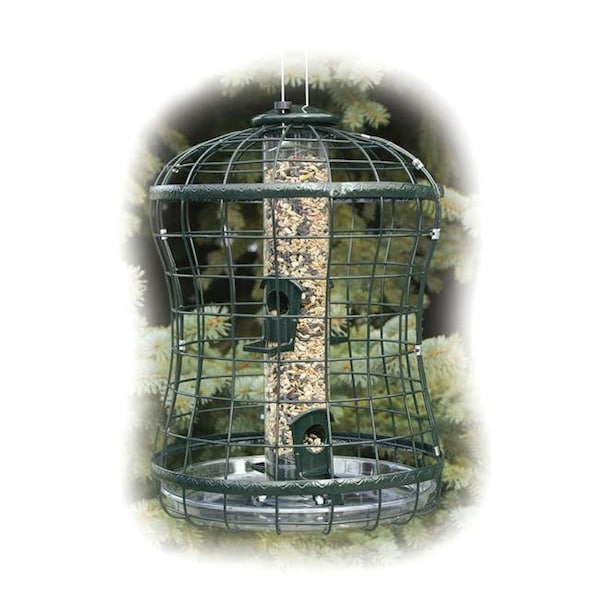 Fancy Feline Audubon Series Caged Seed Tube Feeder - FA72468