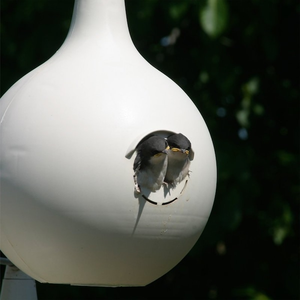 Heath 30008R30008R Gourd House, Plastic, Almond - 30008