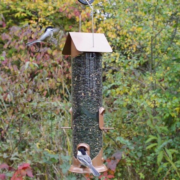 Natures Way Nature's Way Easy Clean Wild Bird and Finch 3 qt Metal/Plastic Tube Bird Feeder 4 ports - WMRS-18