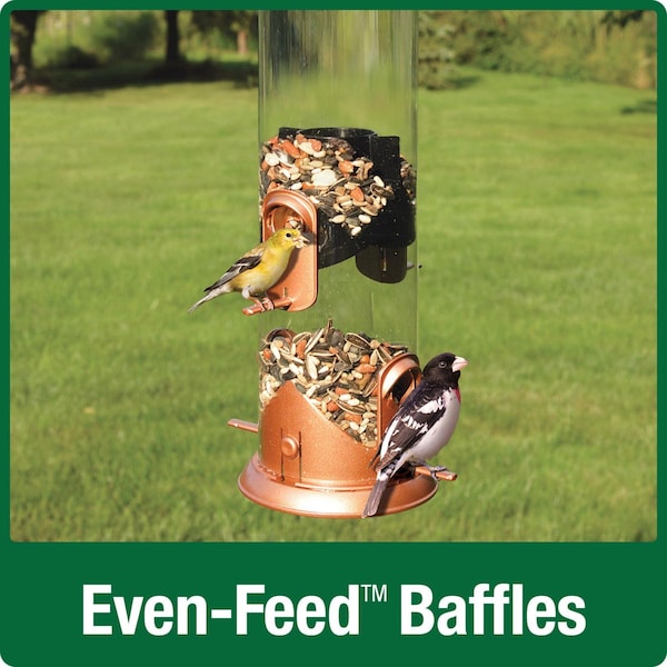 Natures Way Nature's Way Easy Clean Wild Bird and Finch 3 qt Metal/Plastic Tube Bird Feeder 4 ports - WMRS-18