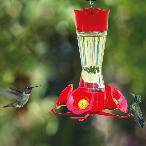 Perky-Pet Perky-Pet Hummingbird 8 oz Glass/Plastic Pinch-Waist Nectar Feeder 4 ports - 203CPBN-2