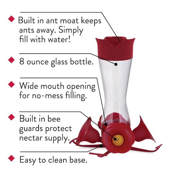 Perky-Pet Perky-Pet Hummingbird 8 oz Glass/Plastic Pinch-Waist Nectar Feeder 4 ports - 203CPBN-2