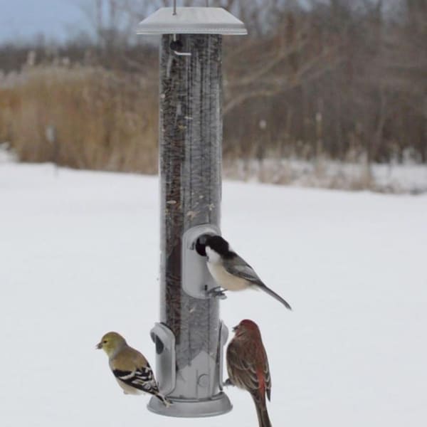 Natures Way Nature's Way Deluxe Wild Bird and Finch 1.4 qt Metal/Plastic Easy Clean Tube Bird Feeder 4 ports - NMRS-18