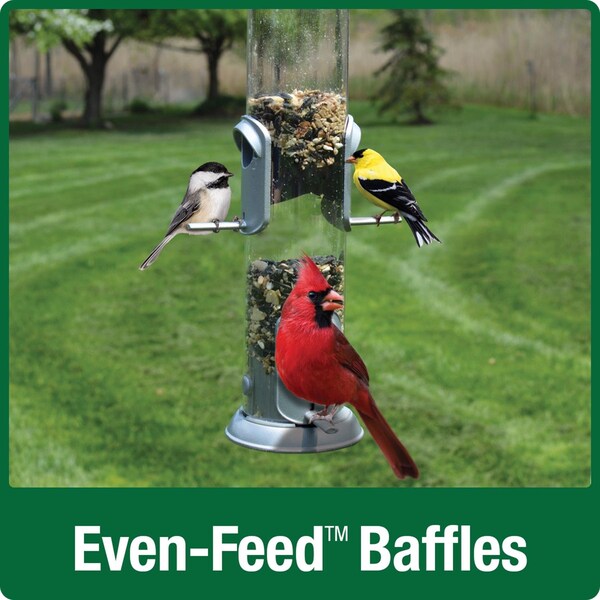 Natures Way Nature's Way Deluxe Wild Bird and Finch 1.4 qt Metal/Plastic Easy Clean Tube Bird Feeder 4 ports - NMRS-18