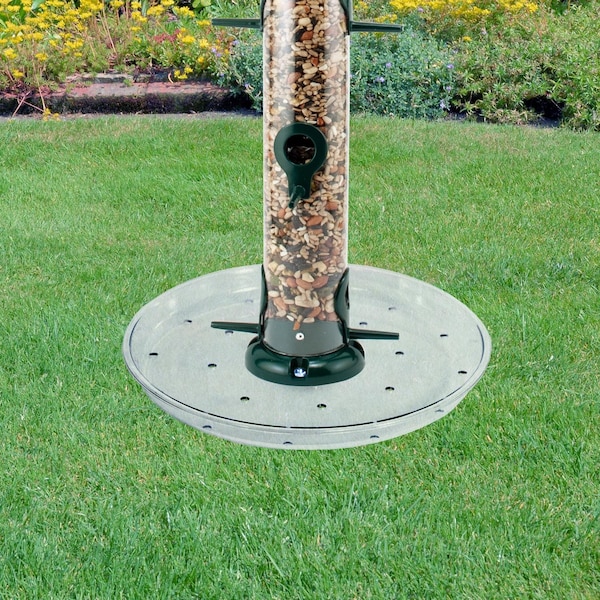 Audubon Audubon 10.38 in. H X 10.38 in. W X 1.25 in. D Wild Bird Food Preserver - NATUBETRAY