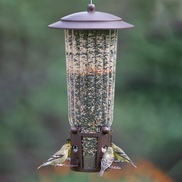 Perky-Pet Perky-Pet Squirrel-Be-Gone Wild Bird 4 lb Plastic Ladder Bird Feeder 4 ports - 334