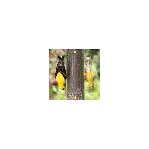 Woodlink Finch Tube Feeder, 1-Lb. - 23917