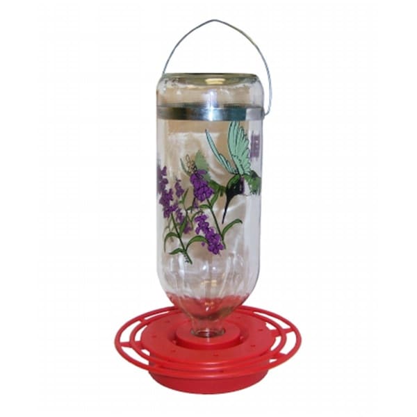 Best-1 Hummingbird Feeder 32 oz Boxed Black Chinned - BEST32BCGP