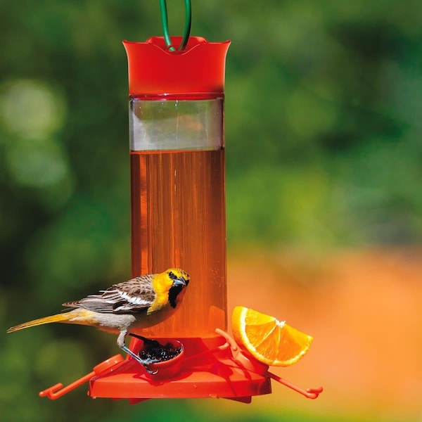 Perky-Pet Perky Pet PP209BO Glass Oriole Feeder - 1 Piece - PP209BO