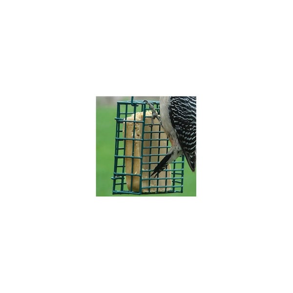 Audubon Bird Feeder Wild Bird Steel Suet Green - NASUET1