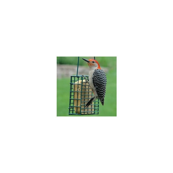 Audubon Bird Feeder Wild Bird Steel Suet Green - NASUET1