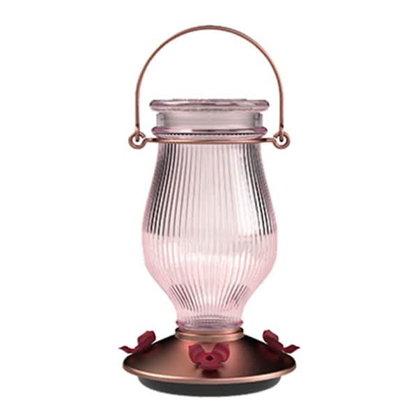 Daretocare 24 oz Sun Kissed Top Fill Hummingbird Feeder - DA2668506