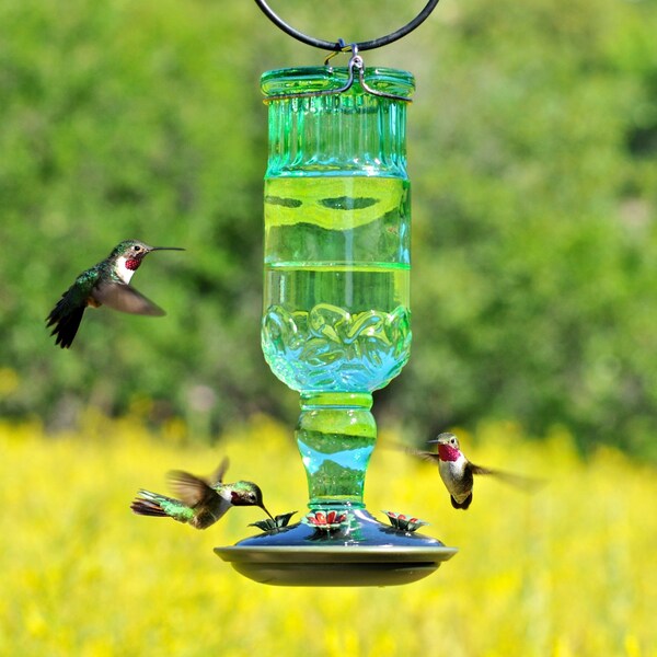 Perky-Pet Perky-Pet Hummingbird 24 oz Glass/Metal Nectar Feeder 4 ports - 8120-2
