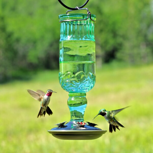 Perky-Pet Perky-Pet Hummingbird 24 oz Glass/Metal Nectar Feeder 4 ports - 8120-2