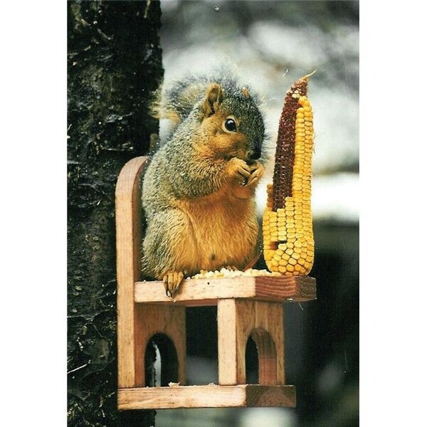 Songbird Essentials Songbird Essentials SE547 Squirrel Chair - SE547