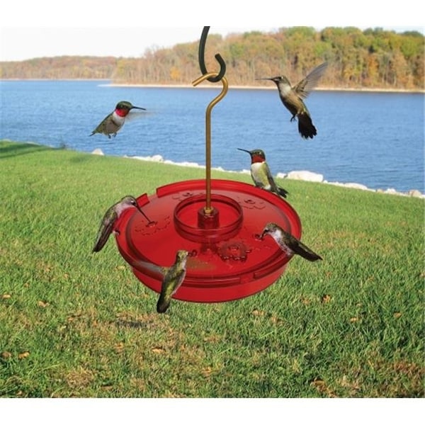 Songbird Essentials Songbird Essentials SE996 Hummingbird Haven; 2.5 x 6 x 8.5 in. - SE996