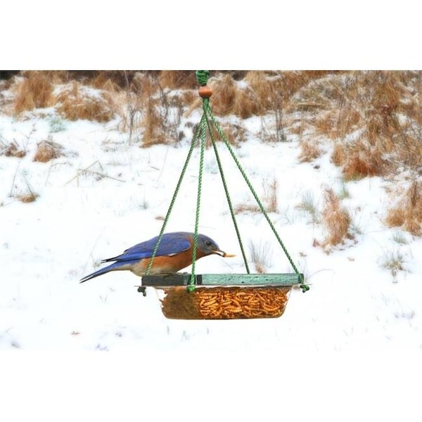 Songbird Essentials Songbird Essentials SE517 Hanging Mealworm Dish Feeder - SE517