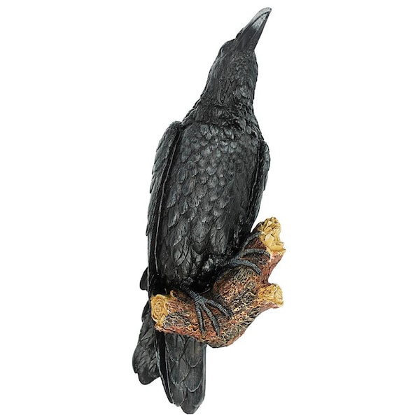 Design Toscano The Raven's Perch Wall Sculpture, PK 2 - NG934872