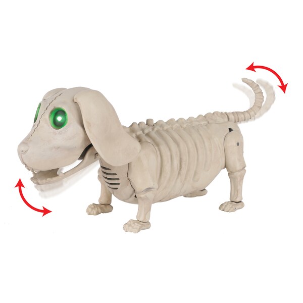 Seasons Usa Seasons Green 3.5 in. Prelit Animated Wiener Dog Skeleton Halloween Decor - W81888