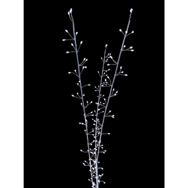 Celebrations Celebrations LED Pure White Lighted Branches 38 in. Yard Decor - MICBWTWIG38PWA