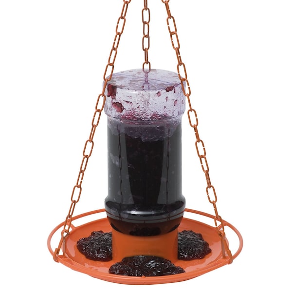 Perky-Pet Perky-Pet Oriole 32 oz Metal/Plastic Nectar Feeder 3 ports - 253