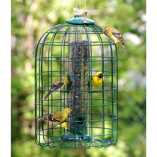 Audubon Audubon Wild Bird 1.25 lb Plastic/Wire Caged Tube Bird Feeder 4 ports - NATUBE3