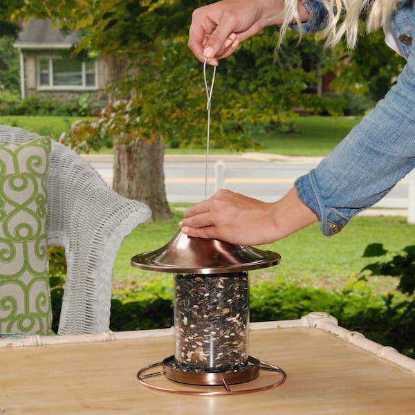 Perky-Pet Perky-Pet Wild Bird 2 lb Metal/Plastic Panorama Bird Feeder 1 ports - 312C