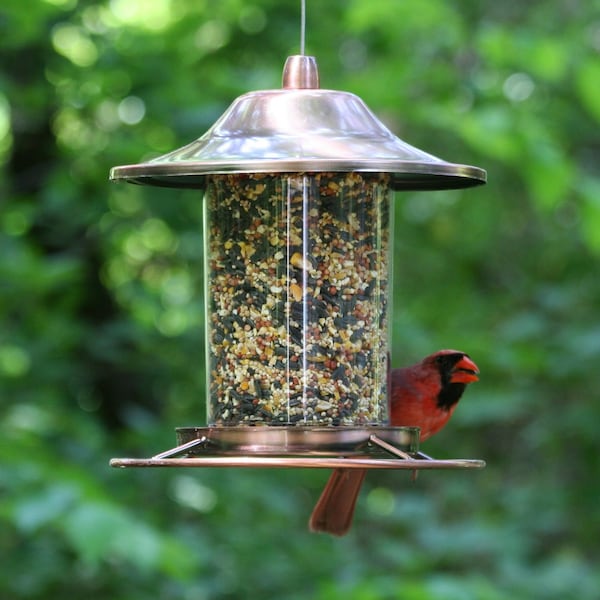 Perky-Pet Perky-Pet Wild Bird 2 lb Metal/Plastic Panorama Bird Feeder 1 ports - 312C