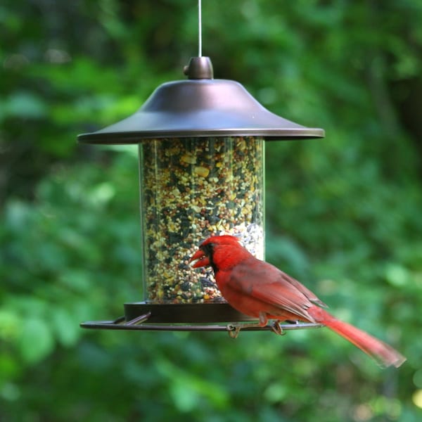 Perky-Pet Perky-Pet Wild Bird 2 lb Metal/Plastic Panorama Bird Feeder 1 ports - 312C